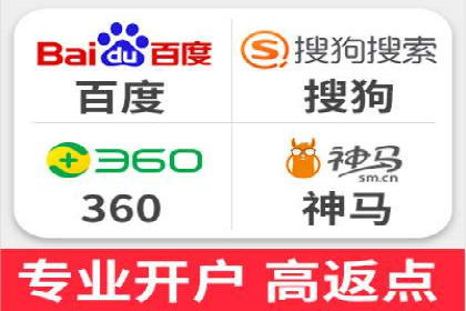 专业竞价SEM托管成功案例解析